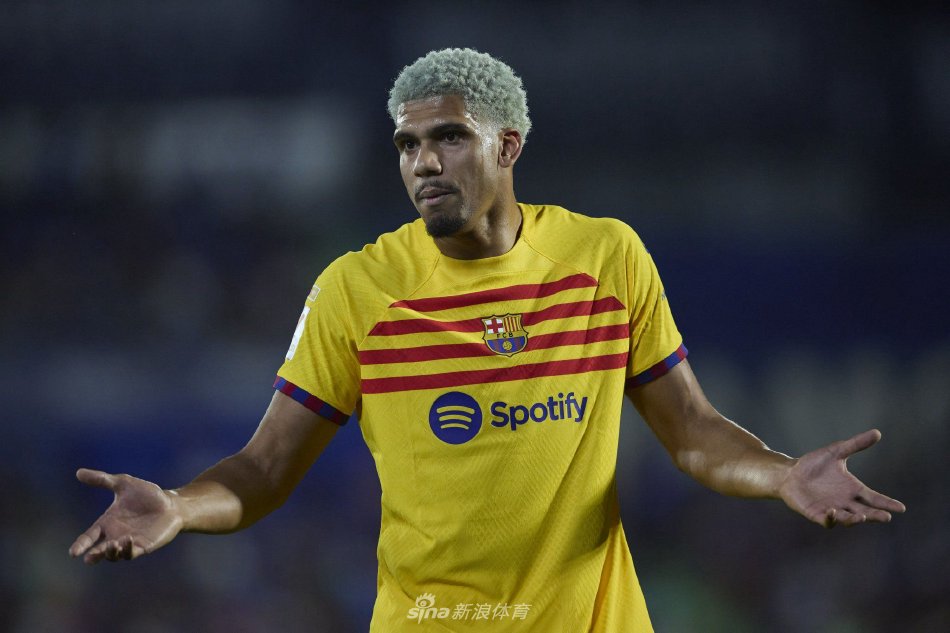 他们在上轮 他们在上轮